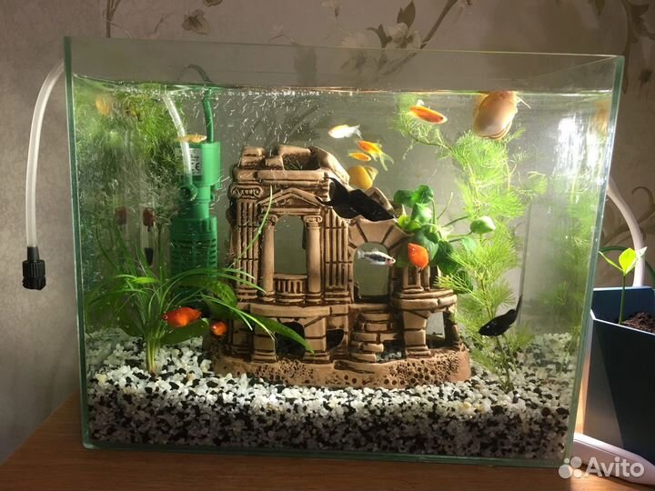 Декорация в аквариум