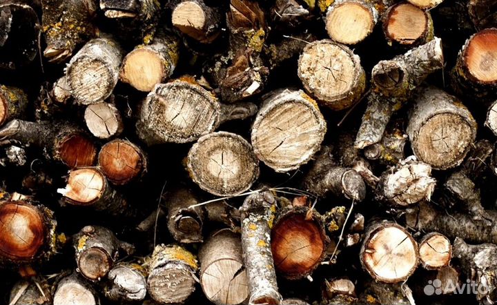 Дрова для бани