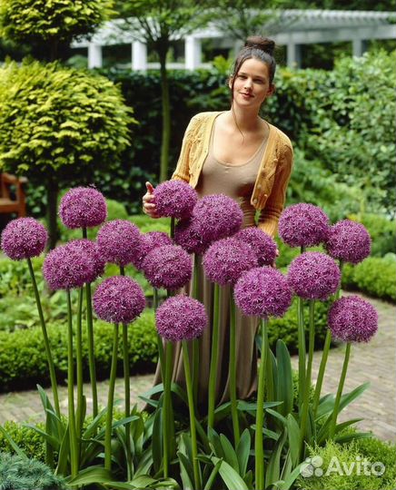 Декоративный лук