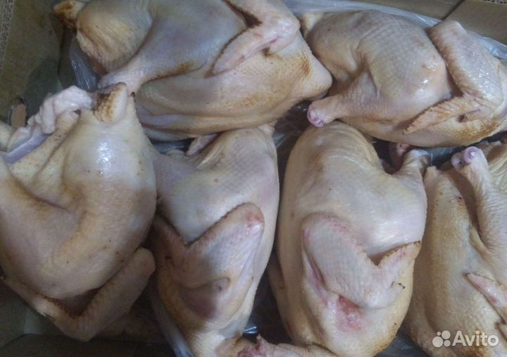 Яйца от домашних кур