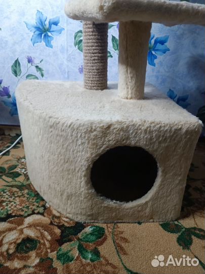 Когтеточка