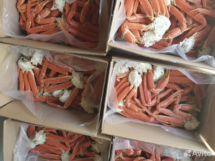 Краб Стригун