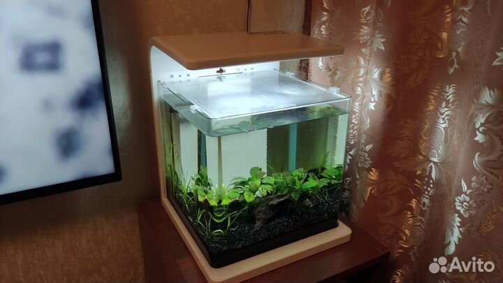 Аквариум-креветочник Hailea E15 (15 литров)