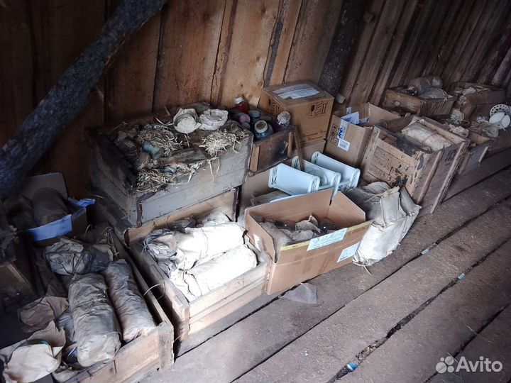 Чашка Петри