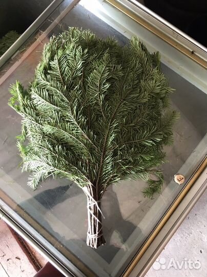 Пихтовые и можжевеловые веники. Веники для бани