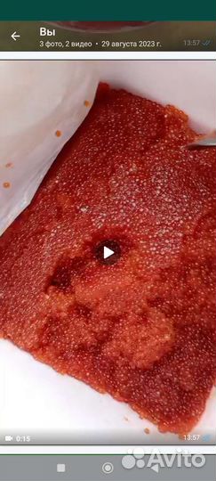 Красная икра 2023