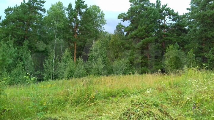 Участок 20 сот. (ИЖС)