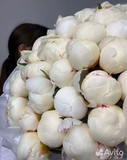 Пионы букет