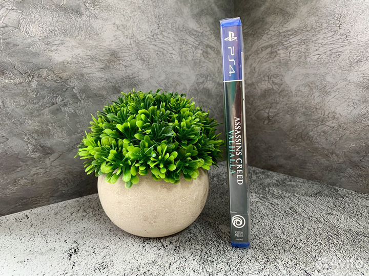 Assassins Creed Valhalla PS4