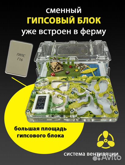 Муравьиная ферма (Формикарий) Стандарт Гигрометр