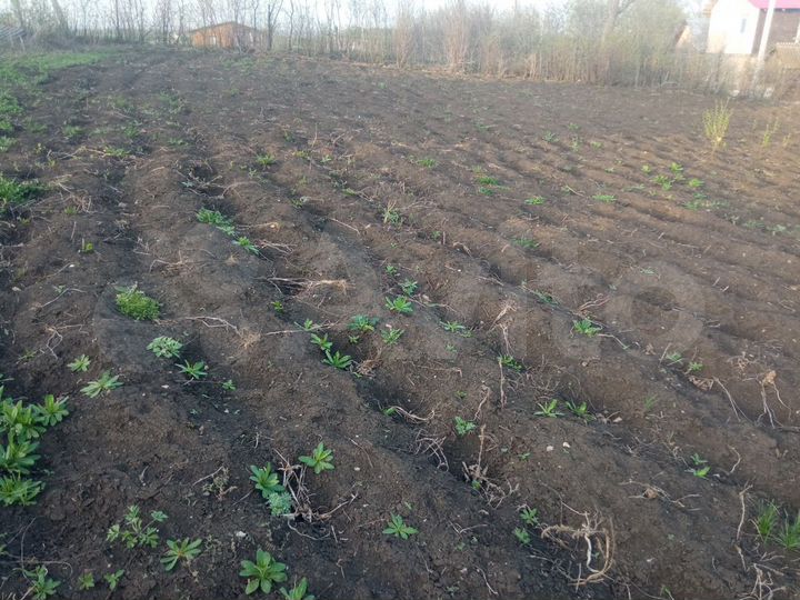 Участок 9,4 сот. (СНТ, ДНП)