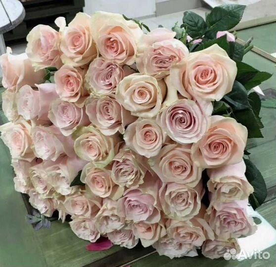 Розы букет цветов 51