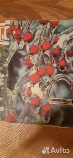 Журналы юный натуралист 77 года 73 года и два 79