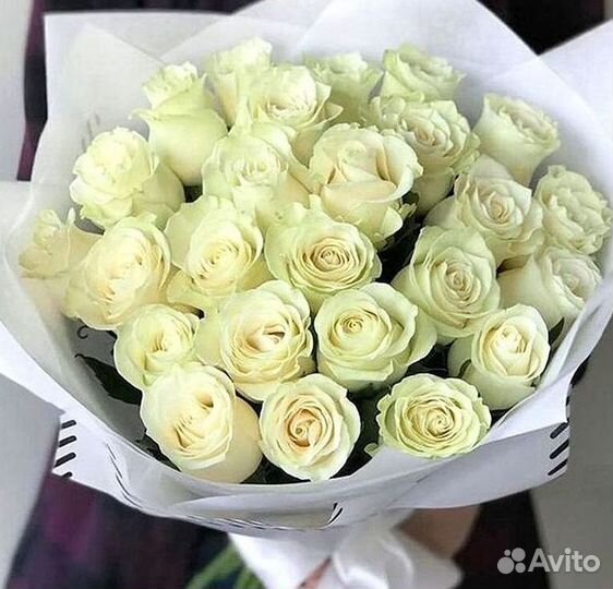 Розы Высокие Розы Гиганты Доставка Москва