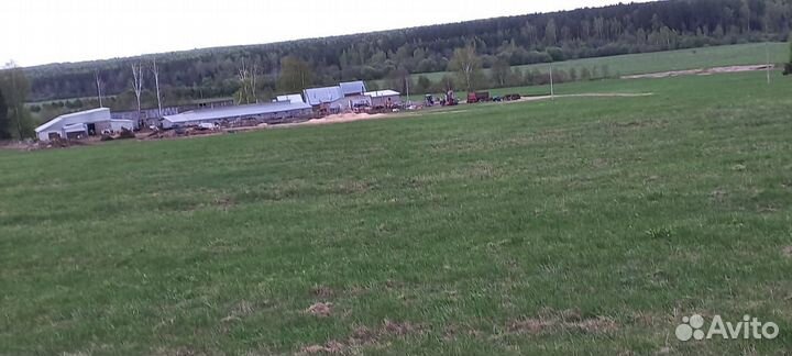 Продам фермерское хозяйство