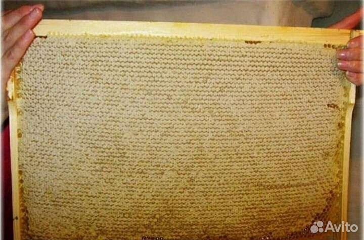 Улей, сушь. инвентарь