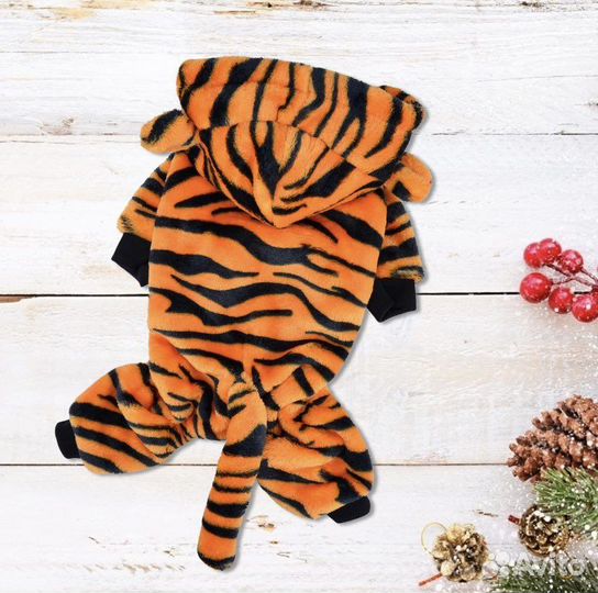 Одежда для собак