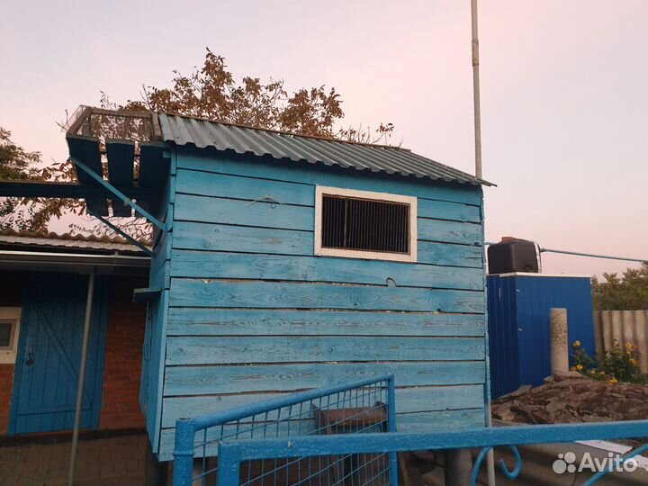 Голубятня продажа