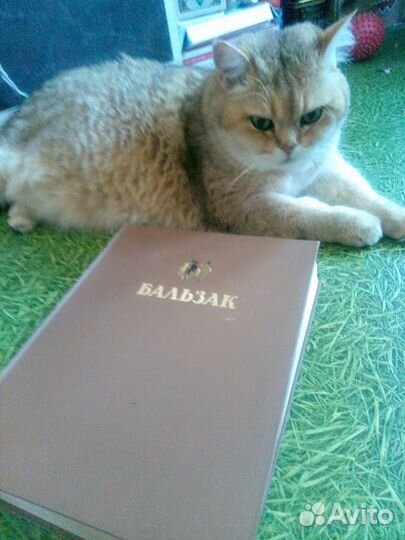 Книга О. Бальзак, 1949 г изд