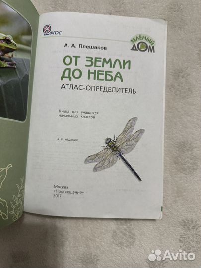 От земли до неба