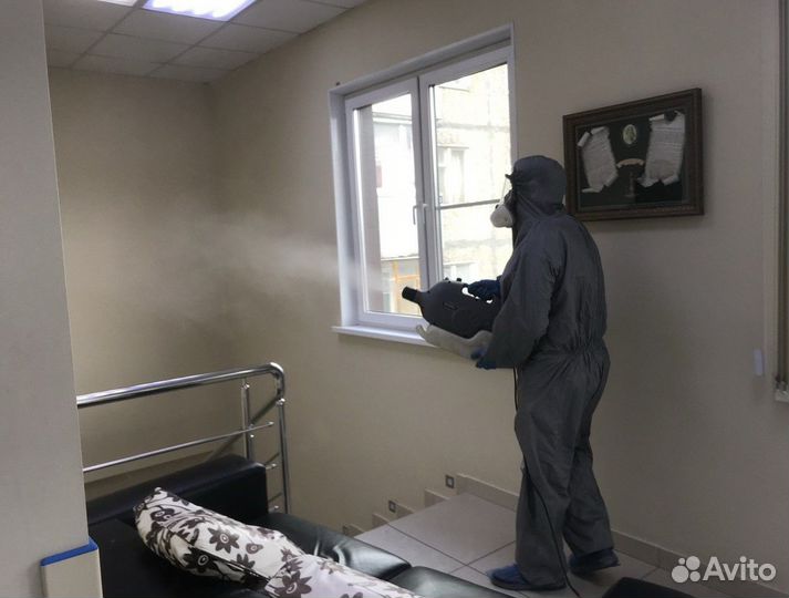 Уничтожение тараканов/клопов/клещей/кротов/крыс