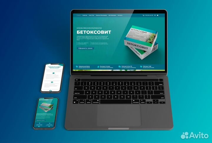 Создание и продвижение сайтов в Усть-Илимске