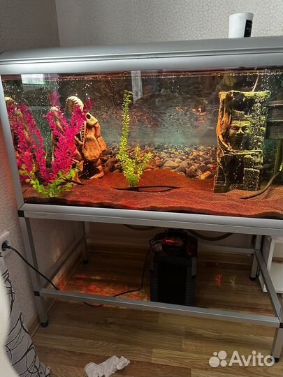 Аквариум 250 литров с тумбой