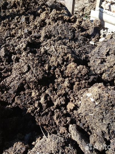 Перепелиный навоз