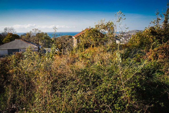 Участок 4 сот. (СНТ, ДНП)