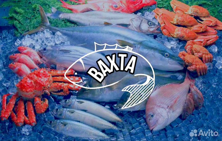 Стикеровщик рыбных деликатесов - Вахта в Москве