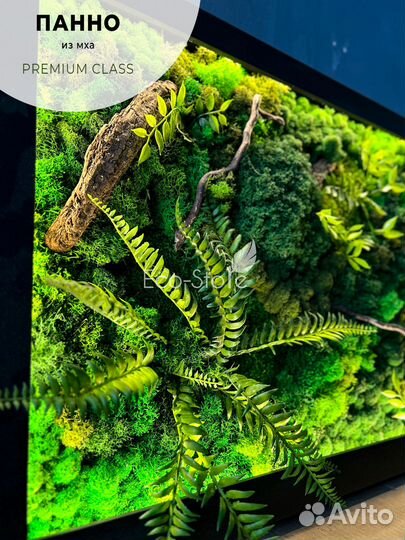 Панно мох с теплой подсветкой