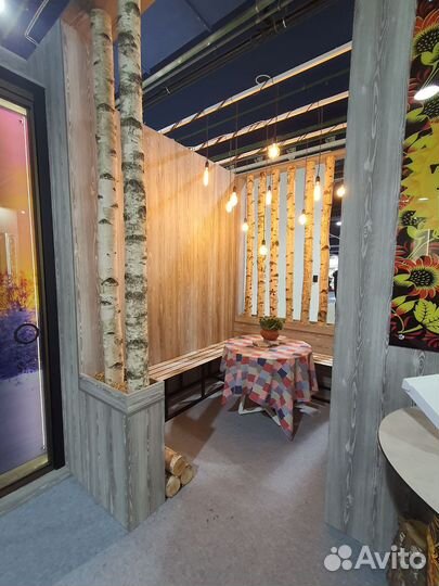 Стволы, спилы дерева березы для декора