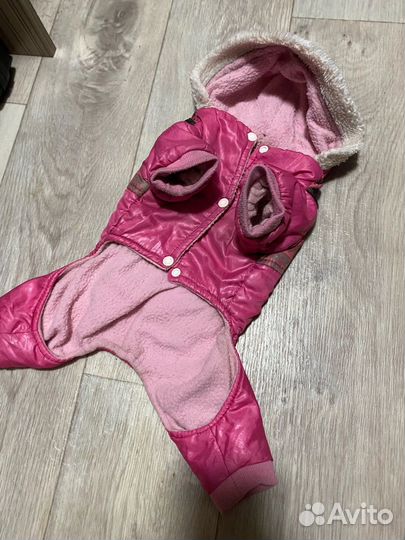 Одежда для собаки