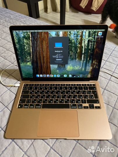 Apple macbook air 13 2020 m1 8gb 256