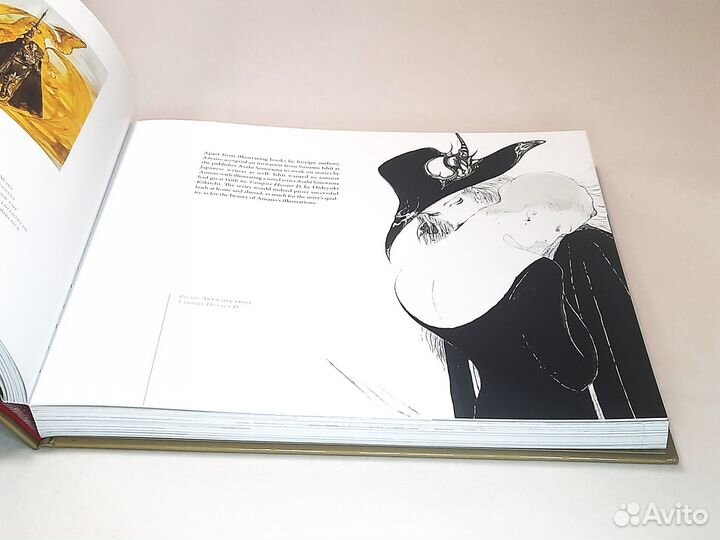 Yoshitaka Amano: The Illustrated Biography