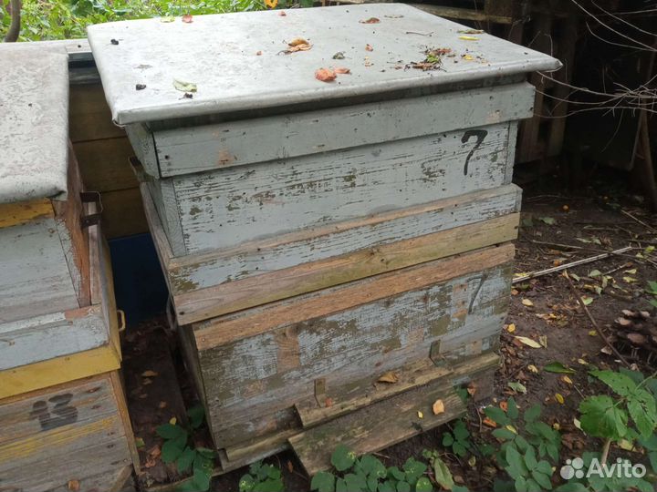 Улей для пчел