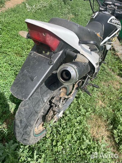 Racer panther 200