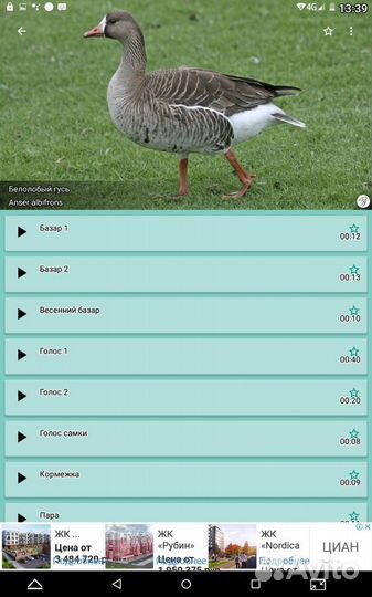 Электроманок. 15+15 Вт