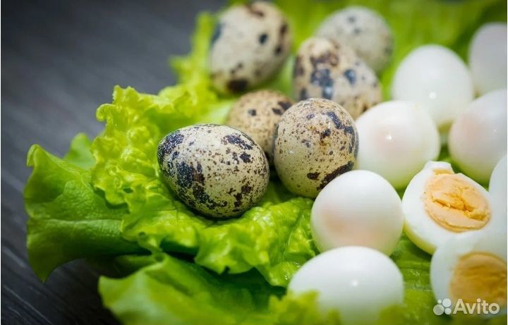 Яйца перепелиные домашние