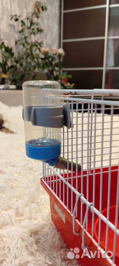 Клетка для грызунов бу