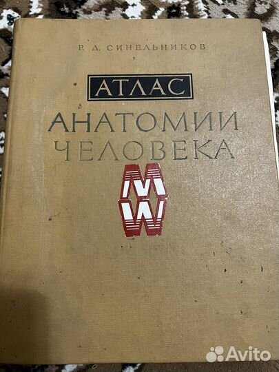 Атлас анатомии человека Синельников