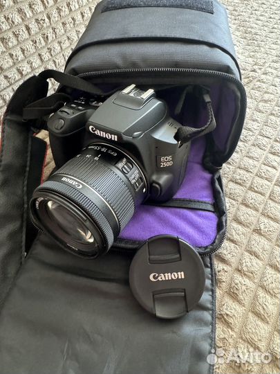 Зеркальный фотоаппарат Canon EOS 250D