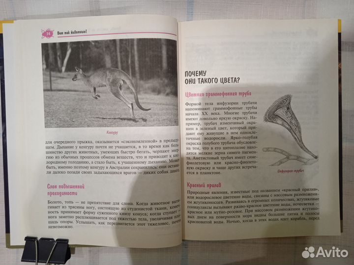 Книга. 1000 тайн животного мира