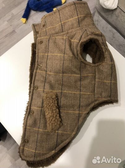 Одежда для собак