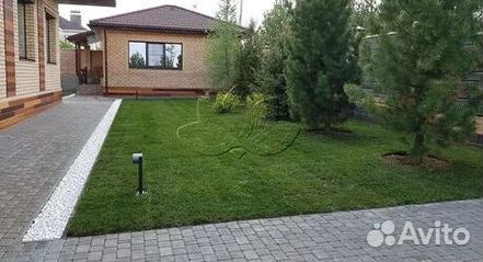 Укладка газона