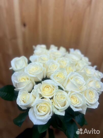 Яркая белая роза оптом Голландия