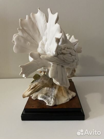 Giuseppe armani Голуби