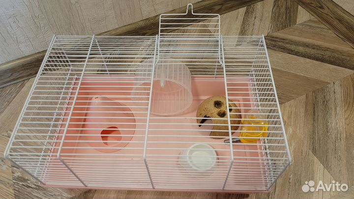 Клетка для грызунов Ferplast