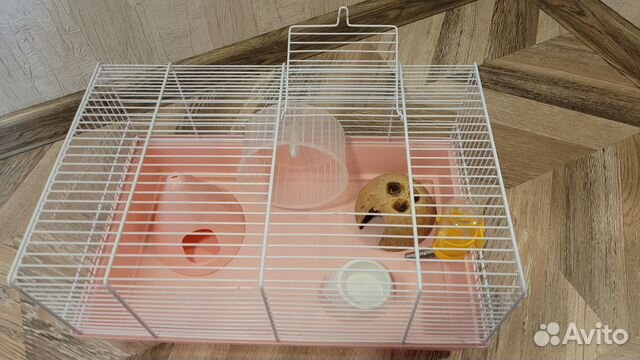 Клетка для грызунов Ferplast