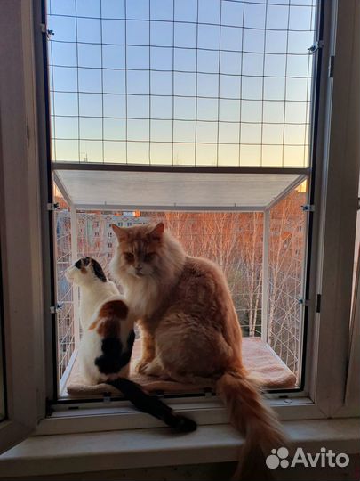 Котобалкончик, Балкончик для кошки на окно